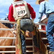 Calgary Stampede: A Few Photos From 2011, Centennial Celebration In 2012