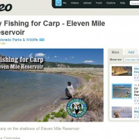 Great Videos: Fly Fishing For Carp When The Weather Was Much Better